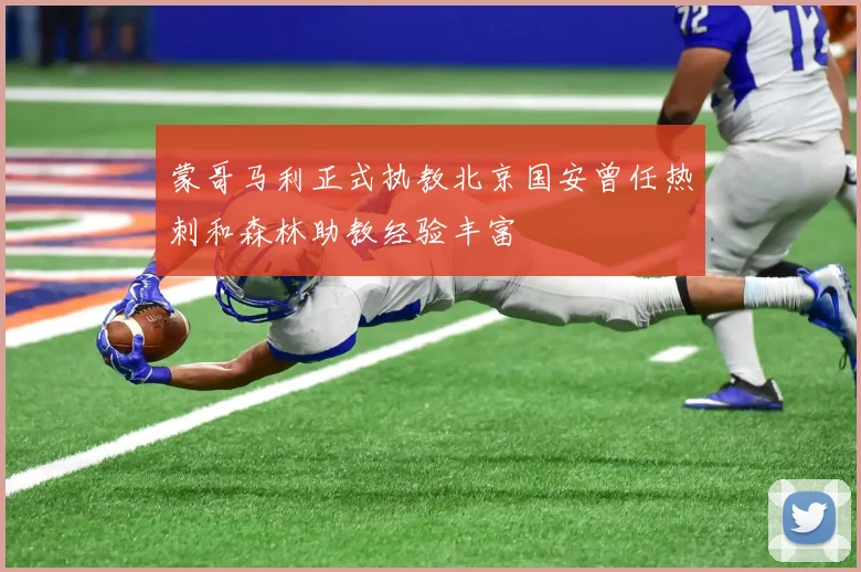 蒙哥马利正式执教北京国安曾任热刺和森林助教经验丰富