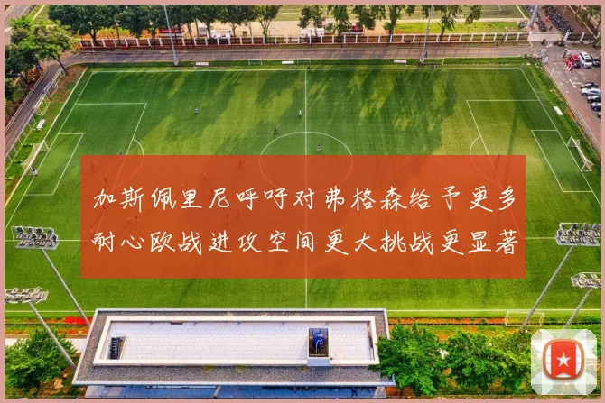 加斯佩里尼呼吁对弗格森给予更多耐心欧战进攻空间更大挑战更显著